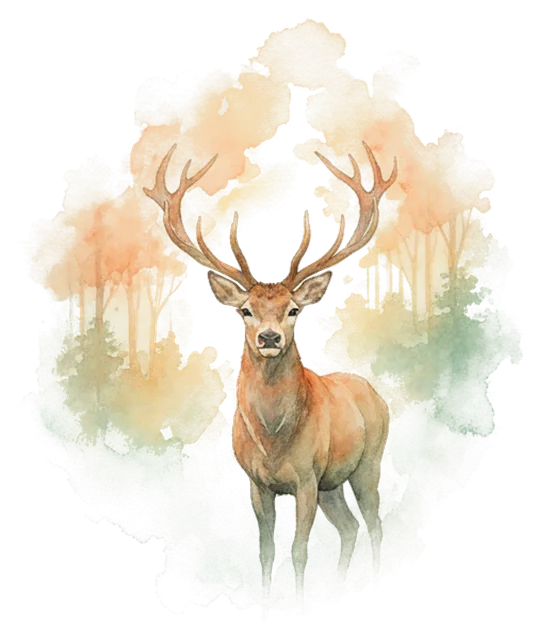 deer in the mist at sunrise