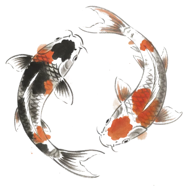 two koi carp in a circle, ink wash